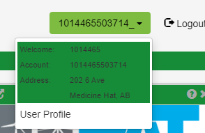 Screenshot example of User Profile Screen