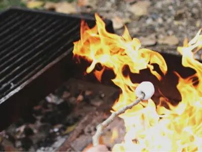 campfire lit with marshmallow roasting